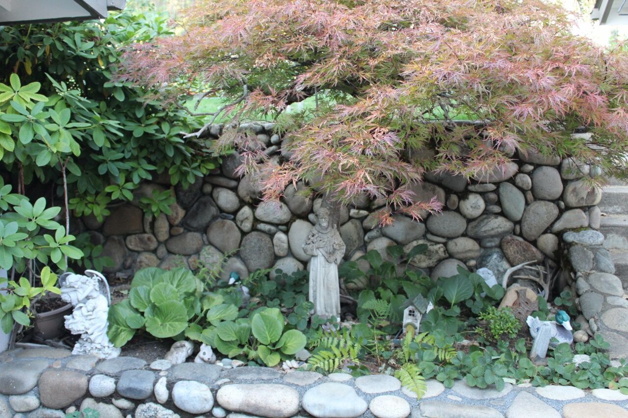 Garden photo